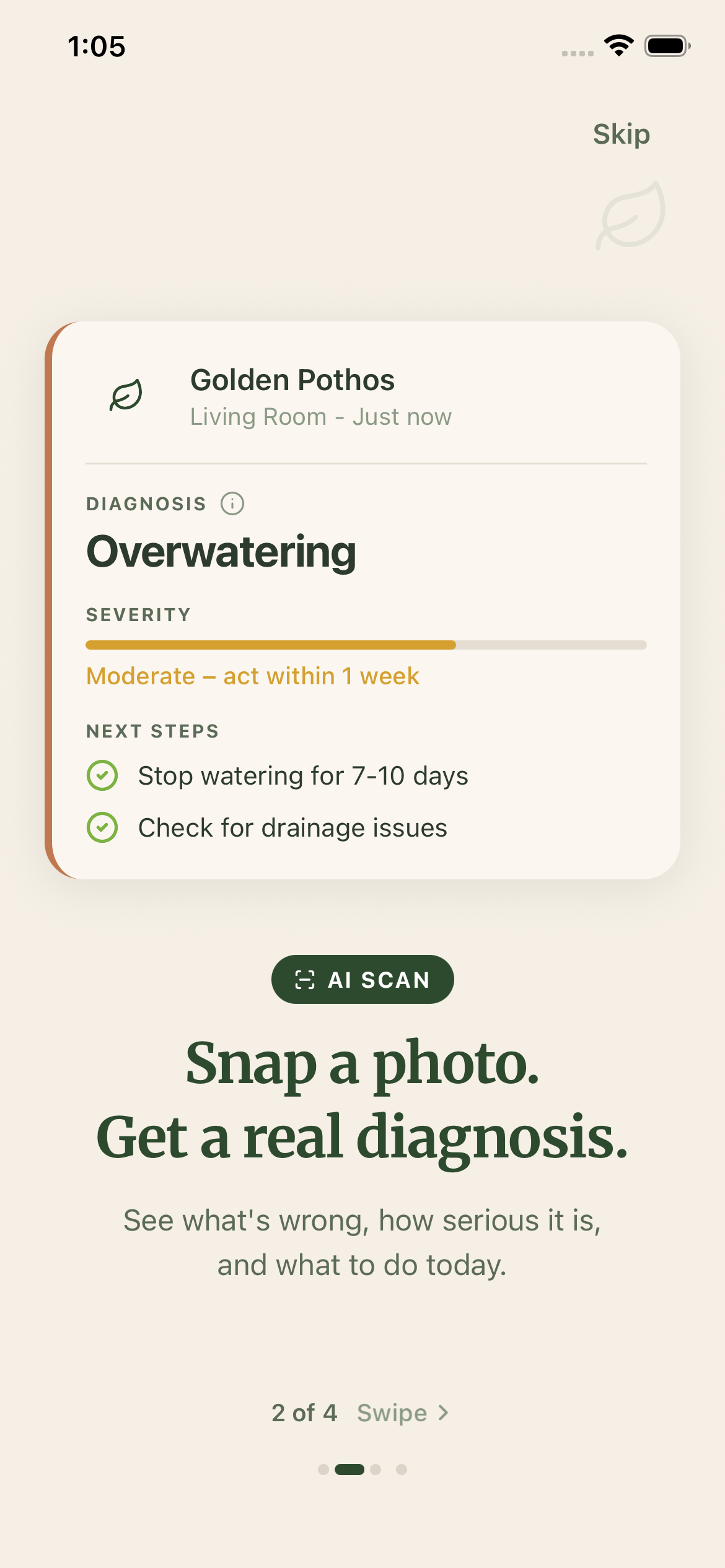 AI diagnosis result showing Overwatering detected with severity level and actionable treatment steps